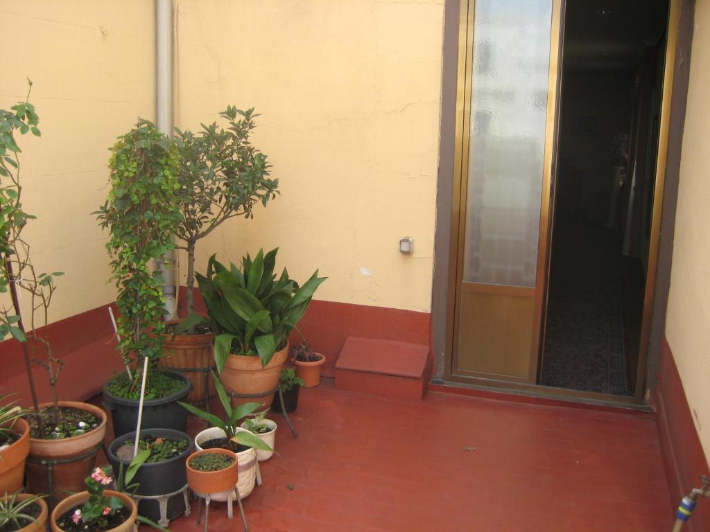 Hostal La Selecta — Fotos 3